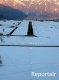 Luftaufnahme FLUGPLAETZE/Flugplatz Buochs - Foto Buochs FlugplatzPiste